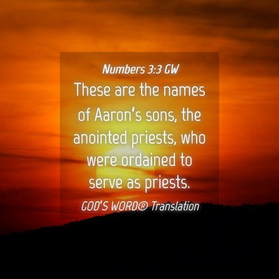 Picture 04 - Numbers 3:3 GW - These are the names of Aaron’s sons, the - Bible Verse Picture