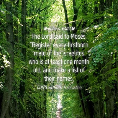 Picture 04 - Numbers 3:40 GW - The Lord said to Moses, “Register every - Bible Verse Picture