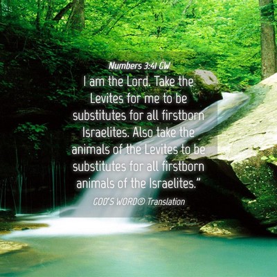 Picture 04 - Numbers 3:41 GW - I am the Lord. Take the Levites for me to be - Bible Verse Picture