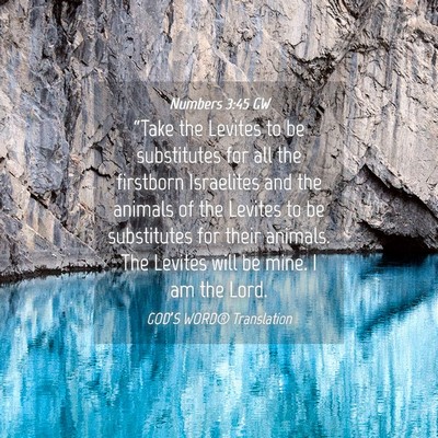 Picture 04 - Numbers 3:45 GW - “Take the Levites to be substitutes for all the - Bible Verse Picture