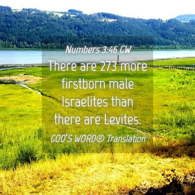 Picture 04 - Numbers 3:46 GW - There are 273 more firstborn male Israelites than - Bible Verse Picture