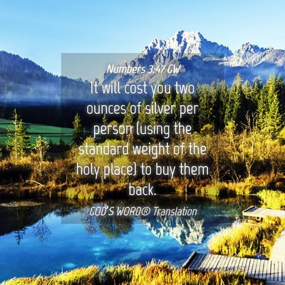 Picture 04 - Numbers 3:47 GW - It will cost you two ounces of silver per person - Bible Verse Picture