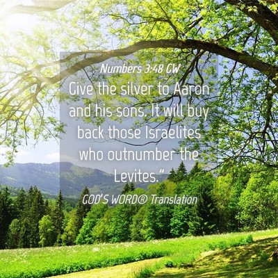 Picture 04 - Numbers 3:48 GW - Give the silver to Aaron and his sons. It will - Bible Verse Picture