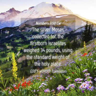 Picture 04 - Numbers 3:50 GW - The silver Moses collected for the firstborn - Bible Verse Picture