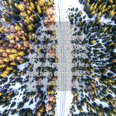Picture 04 - Numbers 3:51 GW - Then Moses did what the Lord said and gave Aaron - Bible Verse Picture