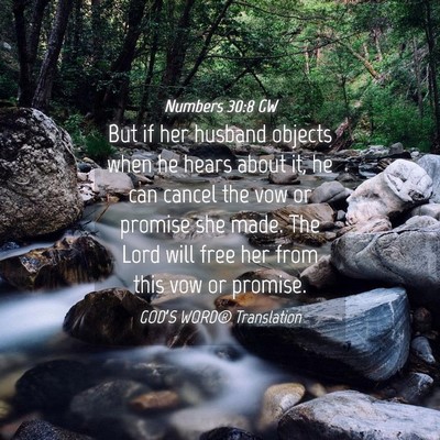 Picture 04 - Numbers 30:8 GW - But if her husband objects when he hears about - Bible Verse Picture