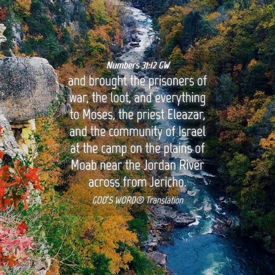 Picture 04 - Numbers 31:12 GW - and brought the prisoners of war, the loot, and - Bible Verse Picture