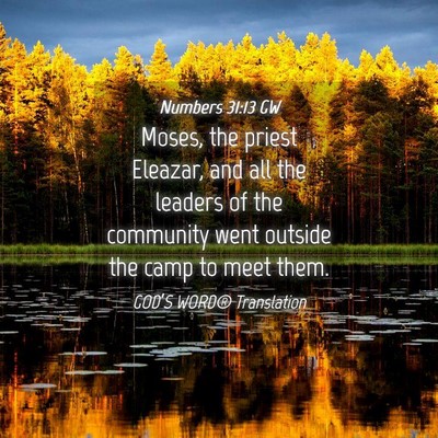 Picture 04 - Numbers 31:13 GW - Moses, the priest Eleazar, and all the leaders of - Bible Verse Picture