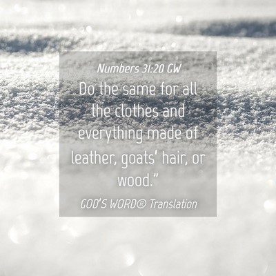 Picture 04 - Numbers 31:20 GW - Do the same for all the clothes and everything - Bible Verse Picture