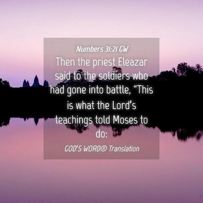 Picture 04 - Numbers 31:21 GW - Then the priest Eleazar said to the soldiers who - Bible Verse Picture
