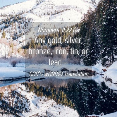 Picture 04 - Numbers 31:22 GW - Any gold, silver, bronze, iron, tin, or - Bible Verse Picture