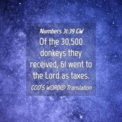 Picture 04 - Numbers 31:39 GW - Of the 30,500 donkeys they received, 61 went to - Bible Verse Picture