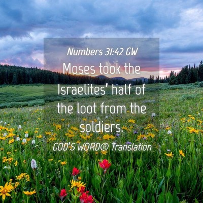 Picture 04 - Numbers 31:42 GW - Moses took the Israelites’ half of the loot - Bible Verse Picture