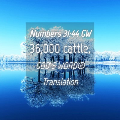 Picture 04 - Numbers 31:44 GW - 36,000 - Bible Verse Picture