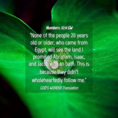 Picture 04 - Numbers 32:11 GW - ‘None of the people 20 years old or older, who - Bible Verse Picture