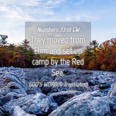 Picture 04 - Numbers 33:10 GW - They moved from Elim and set up camp by the Red - Bible Verse Picture