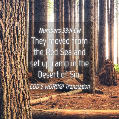 Picture 04 - Numbers 33:11 GW - They moved from the Red Sea and set up camp in - Bible Verse Picture