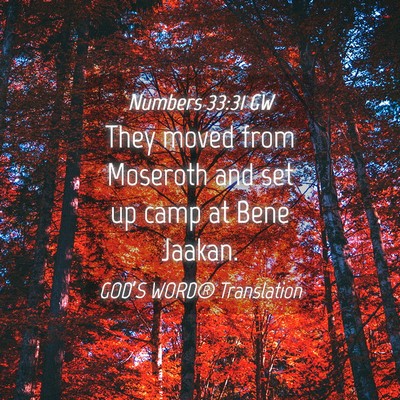 Picture 04 - Numbers 33:31 GW - They moved from Moseroth and set up camp at Bene - Bible Verse Picture