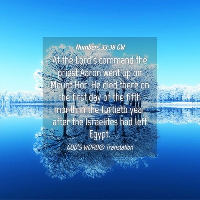 Picture 04 - Numbers 33:38 GW - At the Lord’s command the priest Aaron went up - Bible Verse Picture