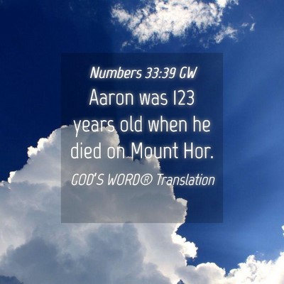 Picture 04 - Numbers 33:39 GW - Aaron was 123 years old when he died on Mount - Bible Verse Picture