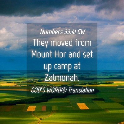Picture 04 - Numbers 33:41 GW - They moved from Mount Hor and set up camp at - Bible Verse Picture