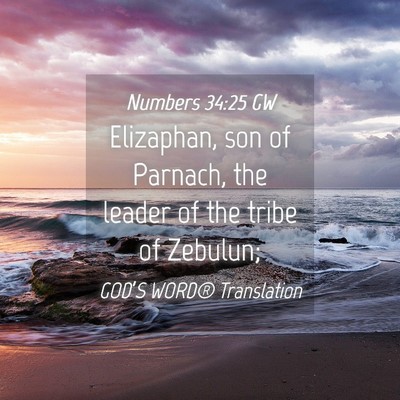 Picture 04 - Numbers 34:25 GW - Elizaphan, son of Parnach, the leader of the - Bible Verse Picture