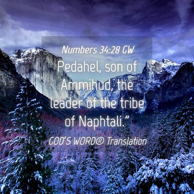 Picture 04 - Numbers 34:28 GW - Pedahel, son of Ammihud, the leader of the tribe - Bible Verse Picture