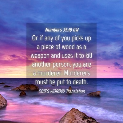 Picture 04 - Numbers 35:18 GW - Or if any of you picks up a piece of wood as a - Bible Verse Picture