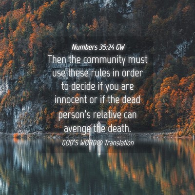 Picture 04 - Numbers 35:24 GW - Then the community must use these rules in order - Bible Verse Picture