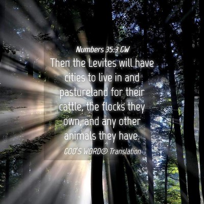 Picture 04 - Numbers 35:3 GW - Then the Levites will have cities to live in and - Bible Verse Picture