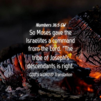 Picture 04 - Numbers 36:5 GW - So Moses gave the Israelites a command from the - Bible Verse Picture