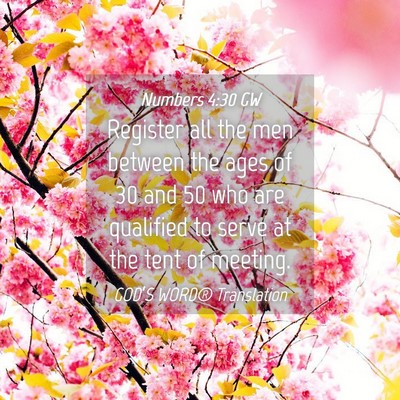 Picture 04 - Numbers 4:30 GW - Register all the men between the ages of 30 and - Bible Verse Picture