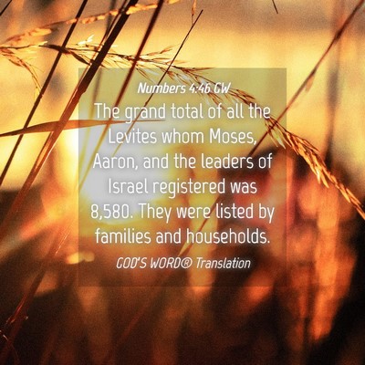 Picture 04 - Numbers 4:46 GW - The grand total of all the Levites whom Moses, - Bible Verse Picture