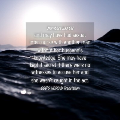 Picture 04 - Numbers 5:13 GW - and may have had sexual intercourse with another - Bible Verse Picture