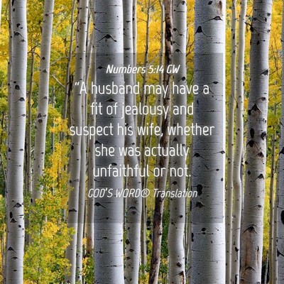 Picture 04 - Numbers 5:14 GW - “A husband may have a fit of jealousy and - Bible Verse Picture