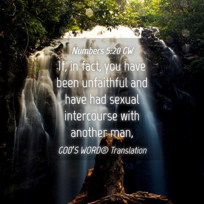 Picture 04 - Numbers 5:20 GW - If, in fact, you have been unfaithful and have - Bible Verse Picture