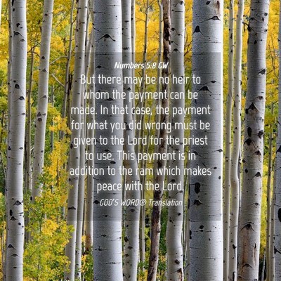 Picture 04 - Numbers 5:8 GW - But there may be no heir to whom the payment can - Bible Verse Picture