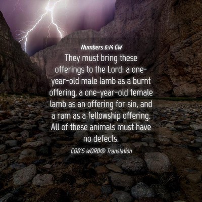 Picture 04 - Numbers 6:14 GW - They must bring these offerings to the Lord: a - Bible Verse Picture
