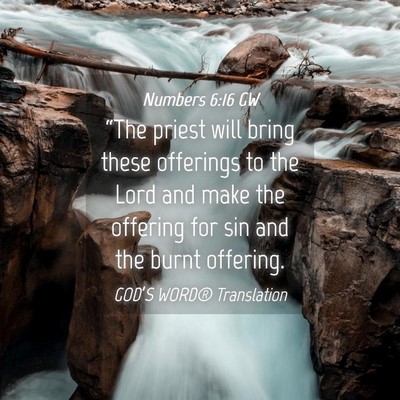 Picture 04 - Numbers 6:16 GW - “The priest will bring these offerings to the - Bible Verse Picture