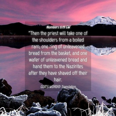 Picture 04 - Numbers 6:19 GW - “Then the priest will take one of the shoulders - Bible Verse Picture