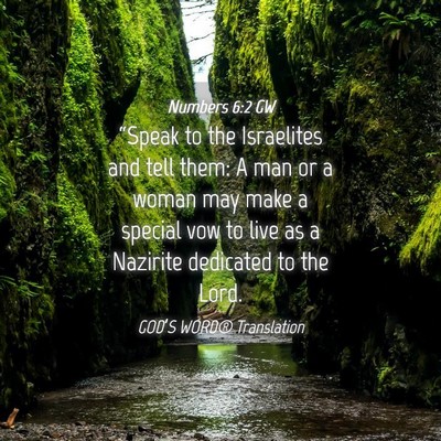Picture 04 - Numbers 6:2 GW - “Speak to the Israelites and tell them: A man - Bible Verse Picture