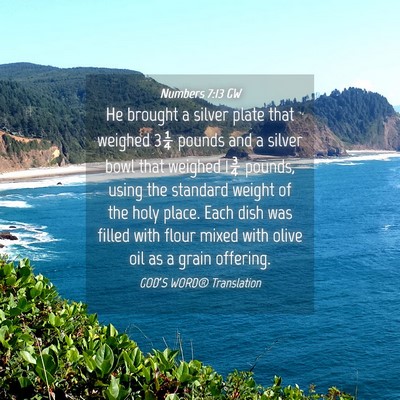 Picture 04 - Numbers 7:13 GW - He brought a silver plate that weighed 3¼ pounds - Bible Verse Picture