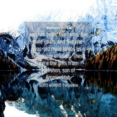 Picture 04 - Numbers 7:17 GW - and two bulls, five rams, five male goats, and - Bible Verse Picture