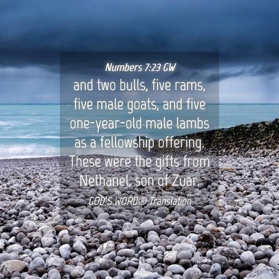 Picture 04 - Numbers 7:23 GW - and two bulls, five rams, five male goats, and - Bible Verse Picture