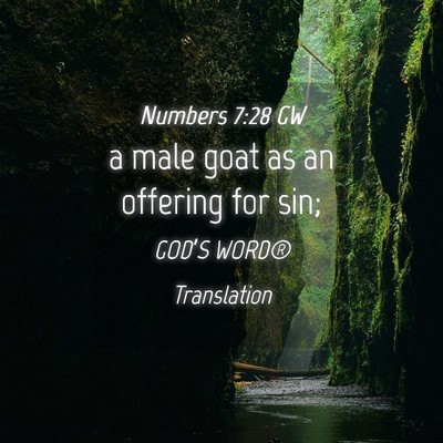 Picture 04 - Numbers 7:28 GW - a male goat as an offering for - Bible Verse Picture