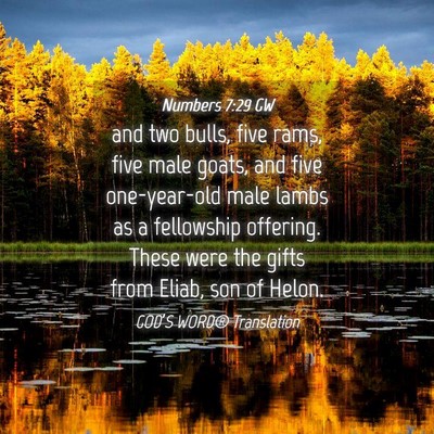 Picture 04 - Numbers 7:29 GW - and two bulls, five rams, five male goats, and - Bible Verse Picture