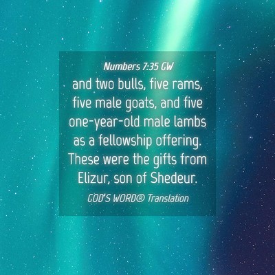 Picture 04 - Numbers 7:35 GW - and two bulls, five rams, five male goats, and - Bible Verse Picture