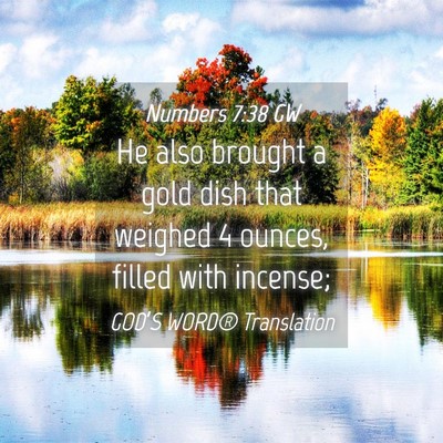 Picture 04 - Numbers 7:38 GW - He also brought a gold dish that weighed 4 - Bible Verse Picture