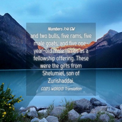 Picture 04 - Numbers 7:41 GW - and two bulls, five rams, five male goats, and - Bible Verse Picture