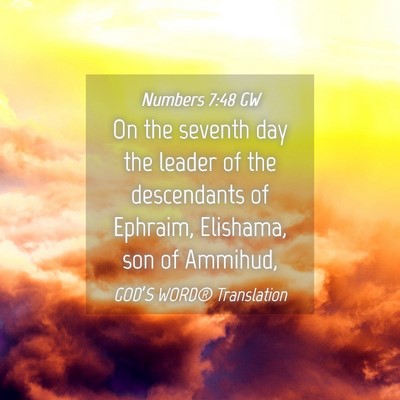 Picture 04 - Numbers 7:48 GW - On the seventh day the leader of the descendants - Bible Verse Picture